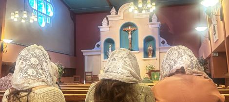 Veils 
