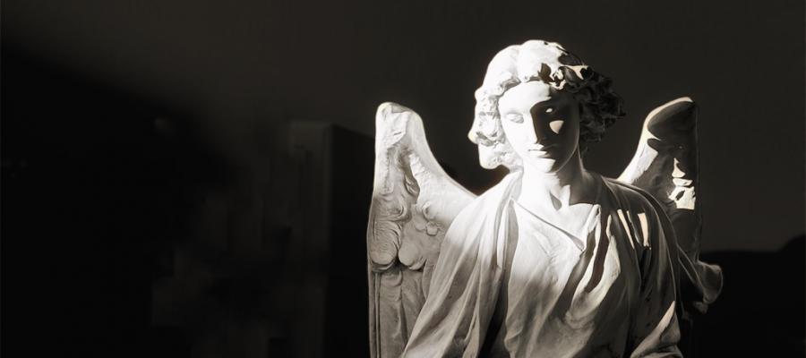 angel 