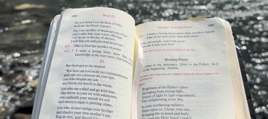 bible