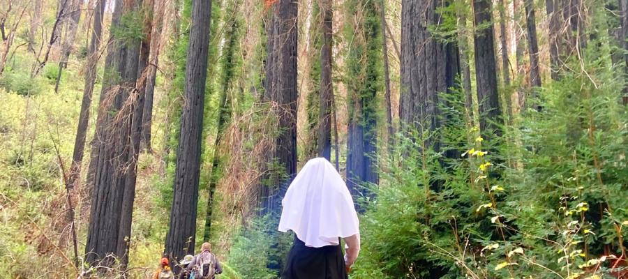 a nun in a forest