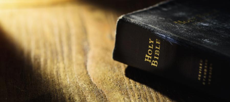The Bible!