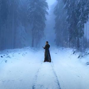 snow in forest 