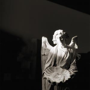 angel 