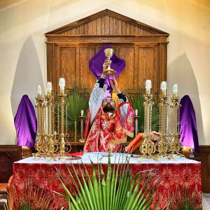 Palm Sunday