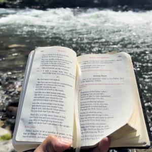 bible 