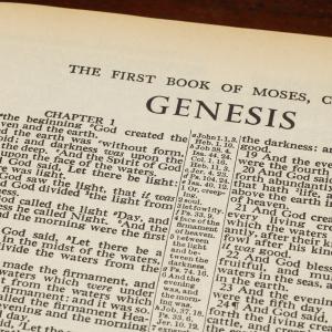 Genesis 