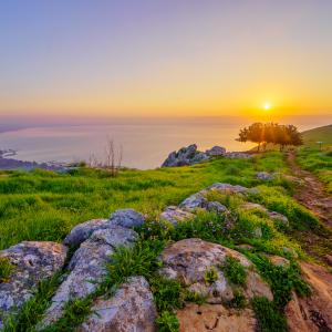 Along the Sea of Galilee 