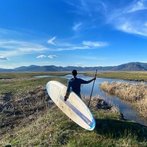 paddle boarding 
