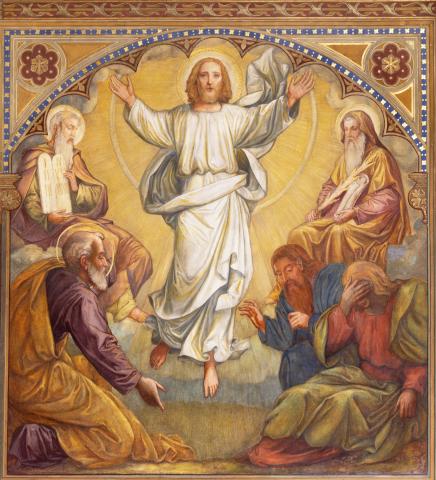 ESPRESSO SHOT: Jesus Reveals Our Destiny